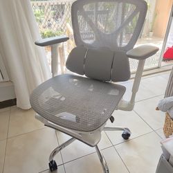 Adjustable Desk Chair