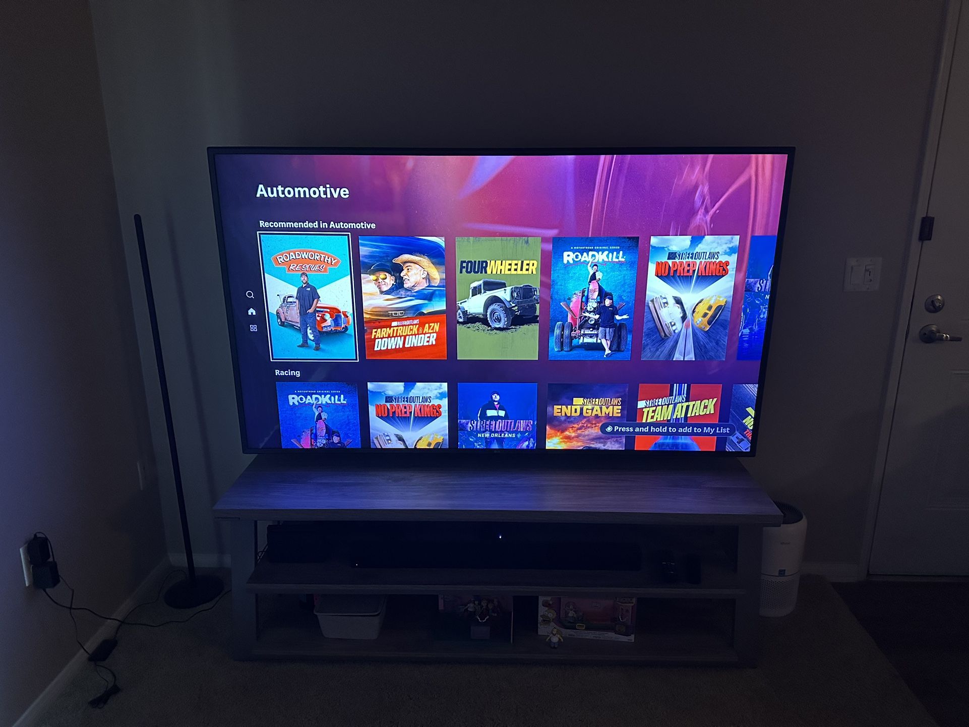 TV Entertainment System