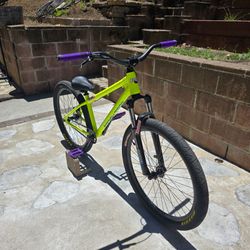 Dirt jumper