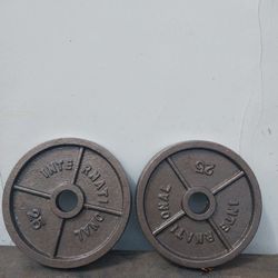 Olympic  Weights.   Steel 
