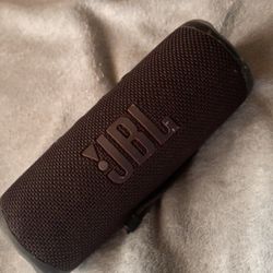 JBL flip 6