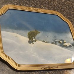 Lone wolf framed picture 13x17"