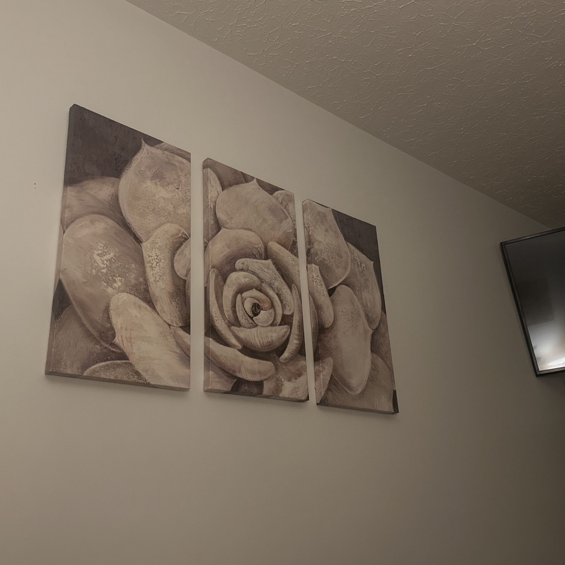 3 Piece Wall Decor