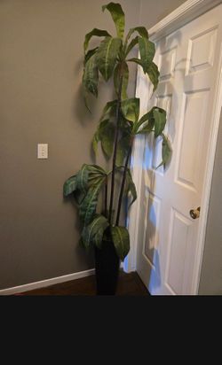 Artificial  decoration