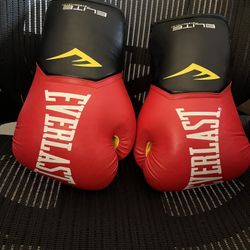 EVERLAST Red boxing Gloves 12oz