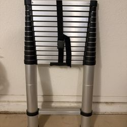 Telescopic Ladder