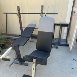 Bench Gym Equipment 