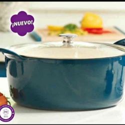 Princess House Olla De 9 Qt
