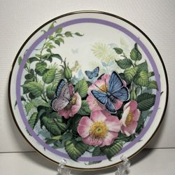 Common Blue Plate 