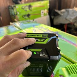 Green Works Pro 60 V. Battery And Charger