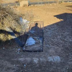Dog Cage