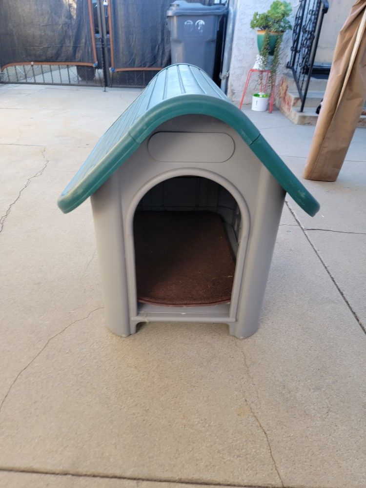 Dog House 