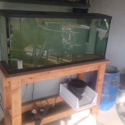 55 Gallon Aquarium + Stand
