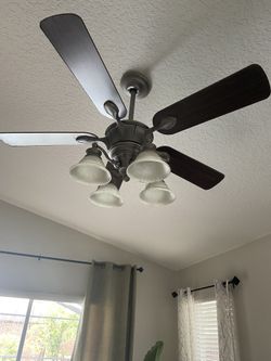 Ceiling Fan
