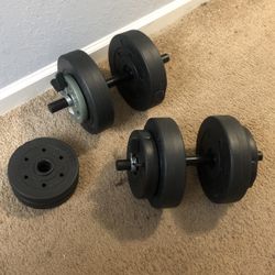 20 Lb Dumbbell 