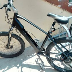 Two E Bikes 