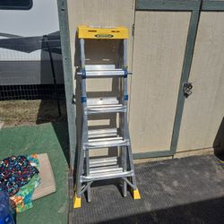 Werner - Ladder