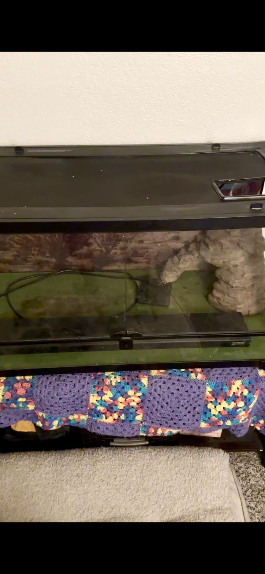 Bearded dragon Tank