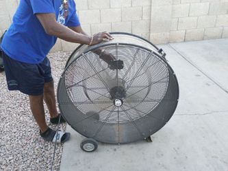 Fan