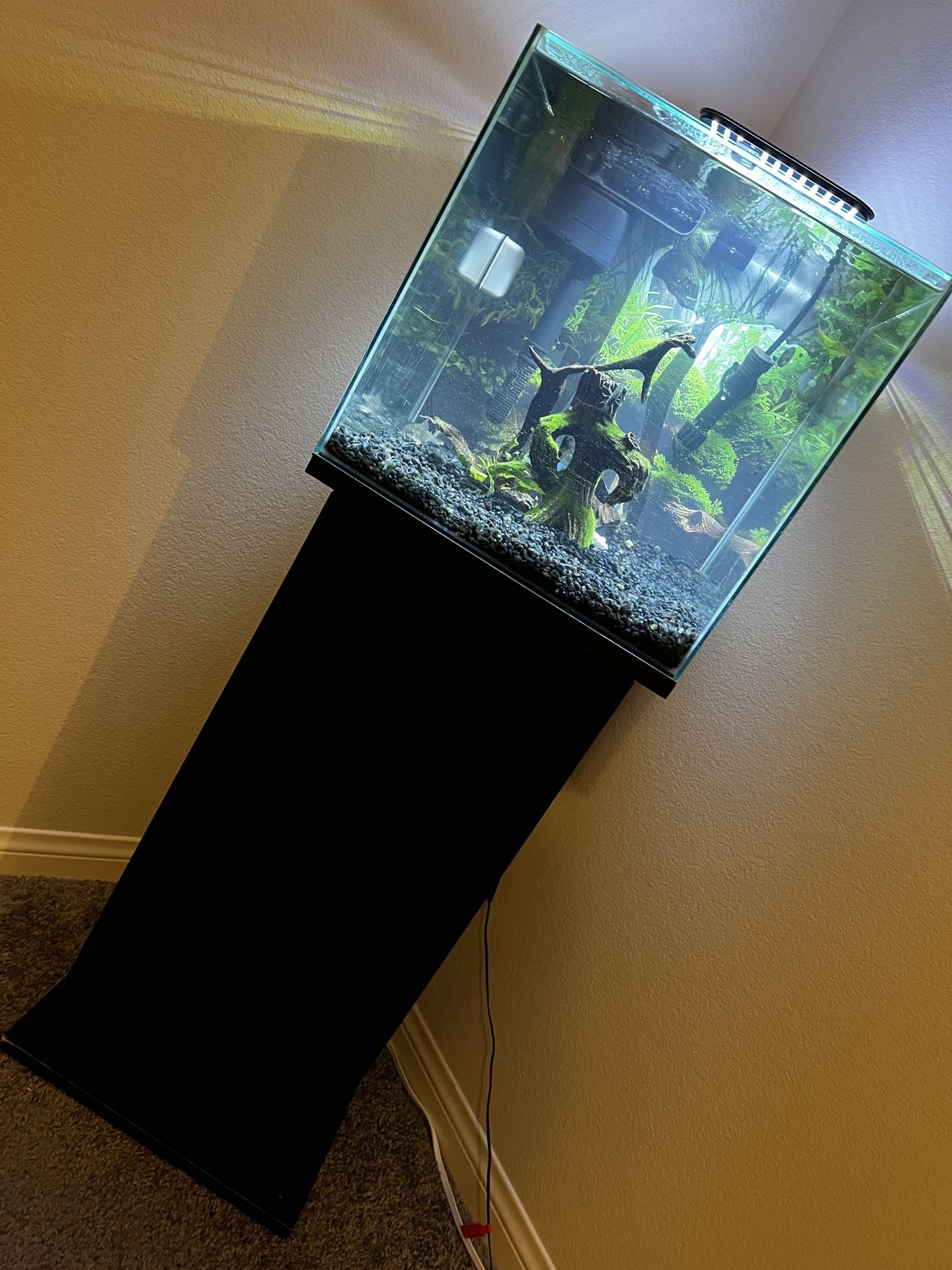 Complete Fish Tank Setup!