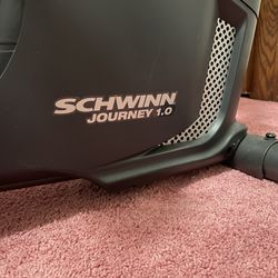 Schwann Nautilus Journey 1.0