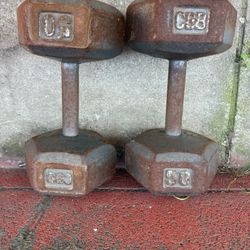 50 Lbs Dumbbell Weights 