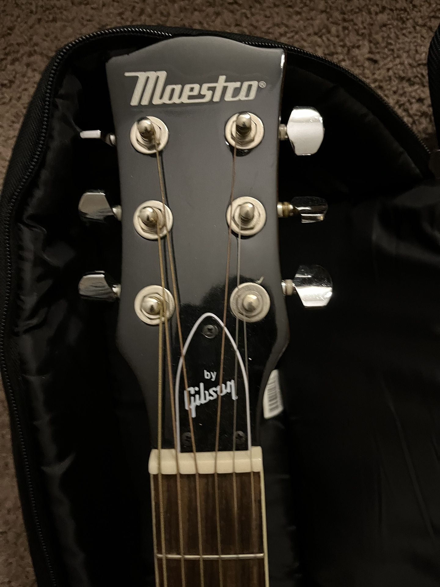 Maestro acoustic guitar
