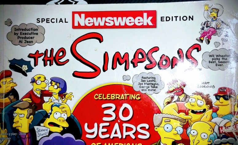 The Simpsons (Special NEWSWEEK Edition)