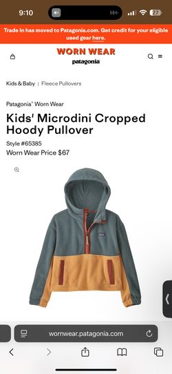 Patagonia® Worn Wear Kids' Microdini Cropped Hoody Pullover