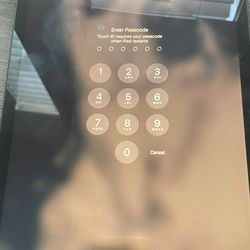 7th Generation IPad