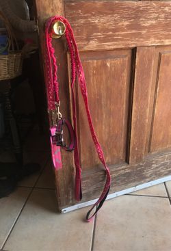 2 dog leashes. $5 each