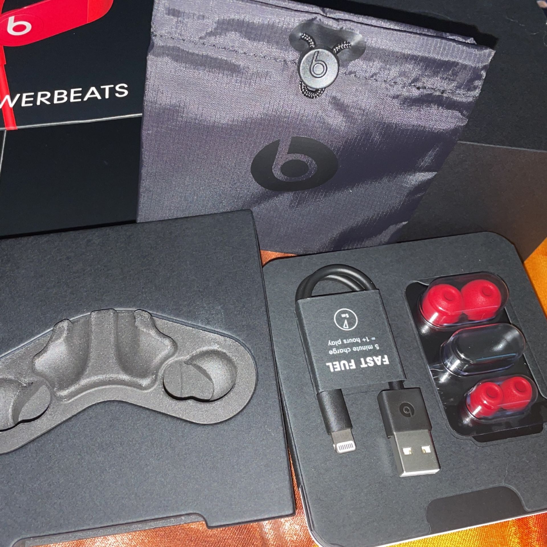 Powerbeats Earphones
