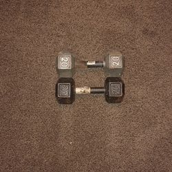 Workout Weights 20 Pound