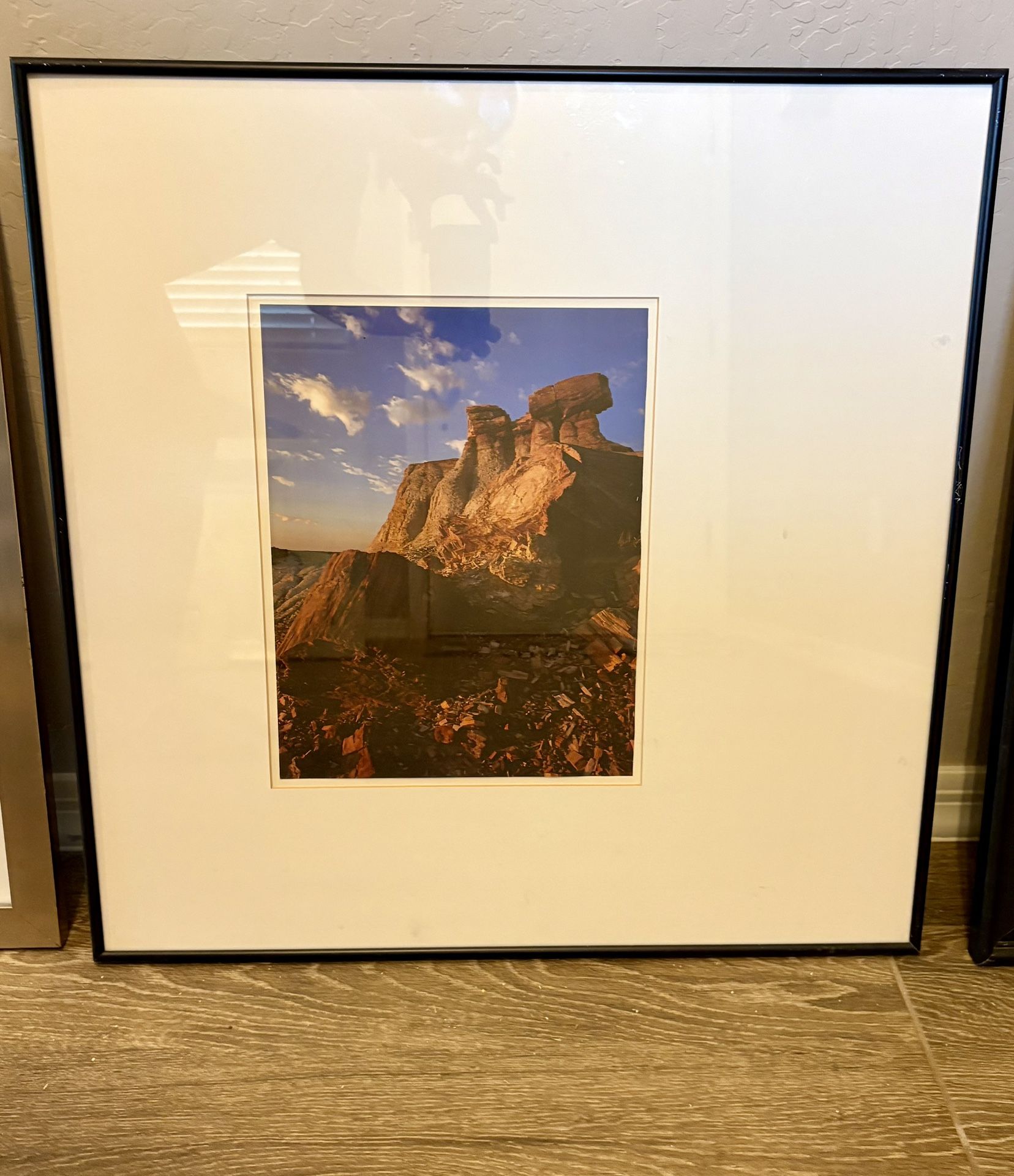 Metal Framed And Matted Nature Scene 24”x 24”