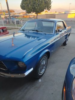 1967 ford mustamy for sale
