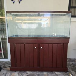 Fish Tank