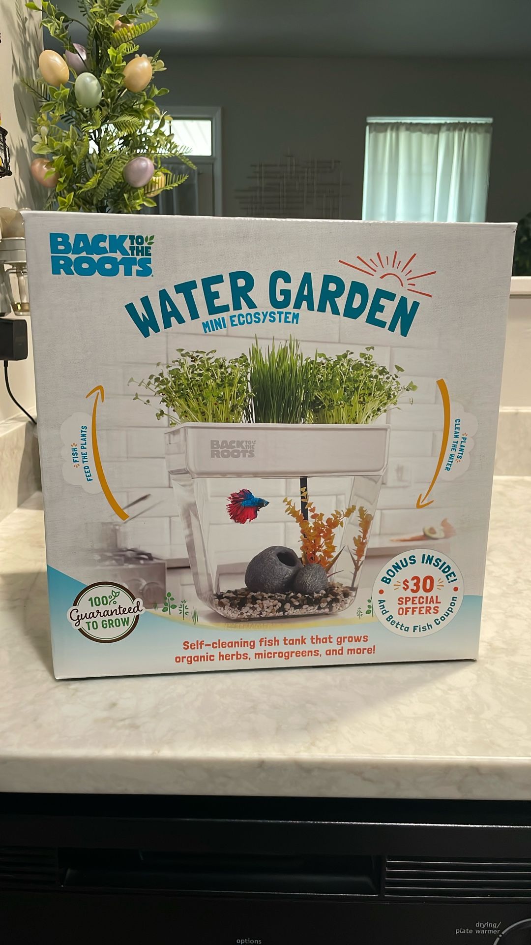 Self Cleaning Fish Tank 3 Gallons