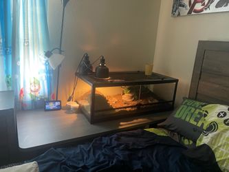 Leopard gecko tank