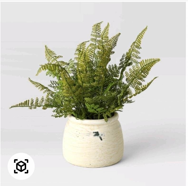 Artificial Fern Pot Threshold From Target 