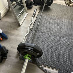 Barbell The Beast 
