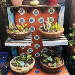 PLANT STAND