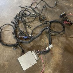 Ron Francis Wire Harness