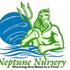 Neptune Nursery, Palm City FL