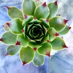 Some Only $5. Pick Up This Saturday From Noon Til 3pm