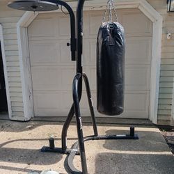 Everlast Punching Bag With Stand 