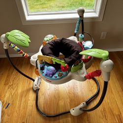 Fisher-Price Baby Jumperoo – Gently Used, Clean and Fun!