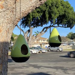 Pear Bird feeders ( 1 Pair Of Pears) 