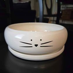 8 Inch Large Cute Cat Ceramic succulent planter pots garden