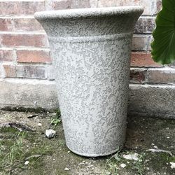 Plant Container