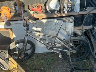 GT Dyno